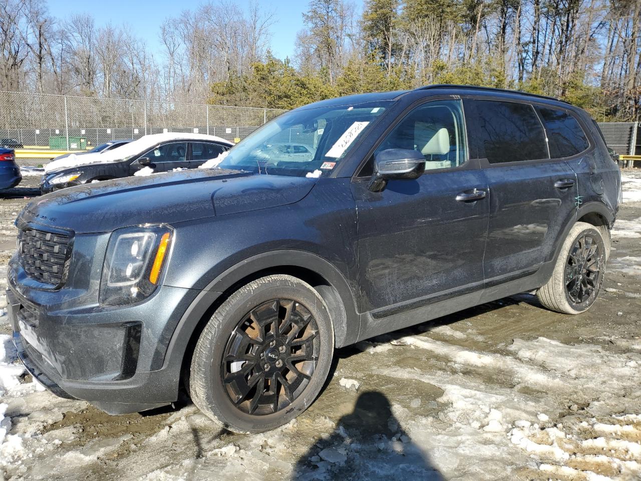 2022 KIA TELLURIDE SX VIN:5XYP5DHCXNG275396