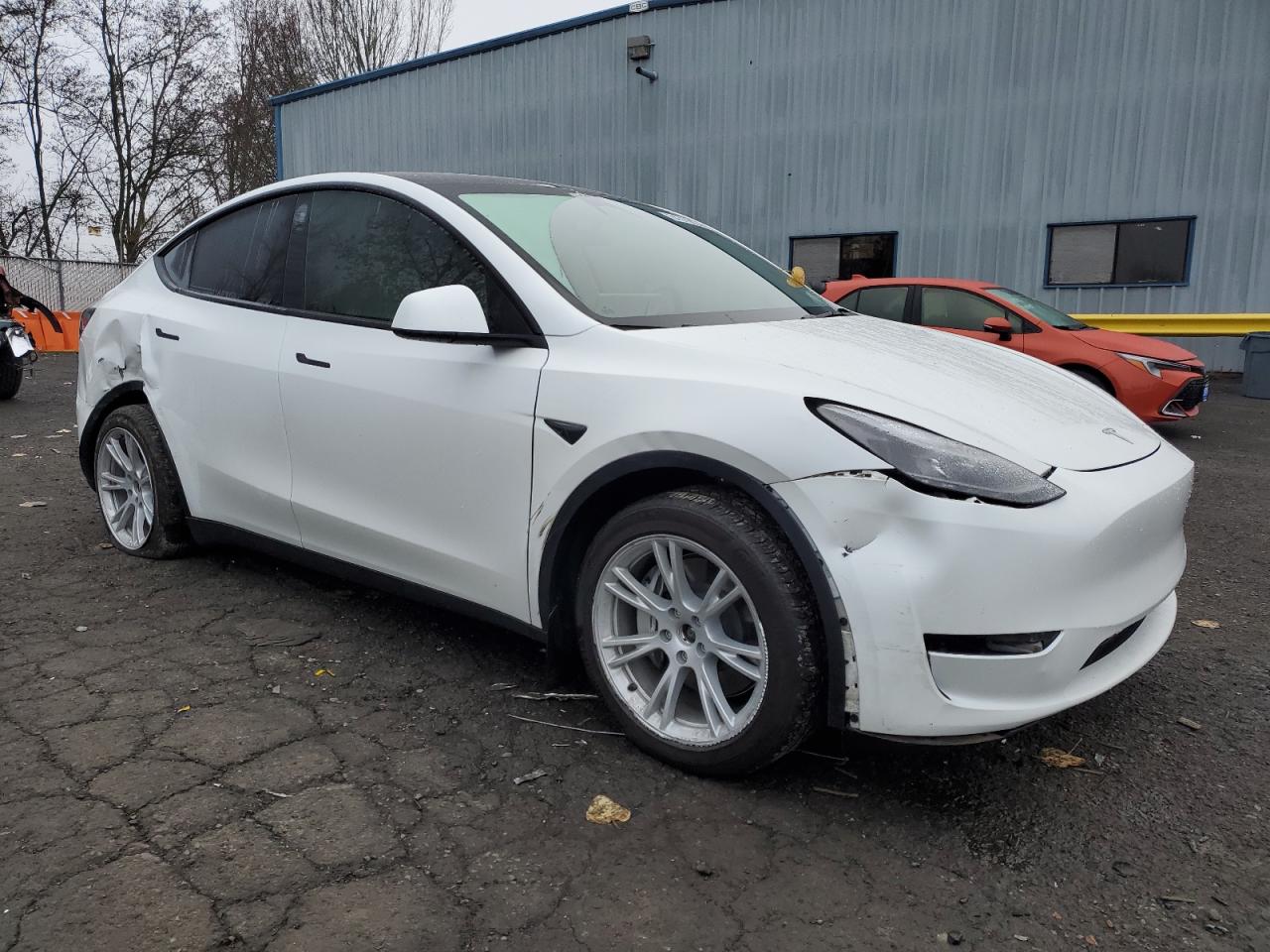 2023 TESLA MODEL Y  VIN:7SAYGDEE0PF774709