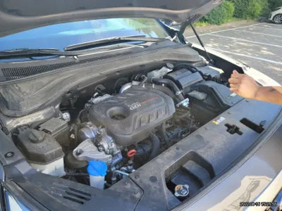 2020 Hyundai Santa FE KMHS381ABLU229579 VIN:KMHS381ABLU229579