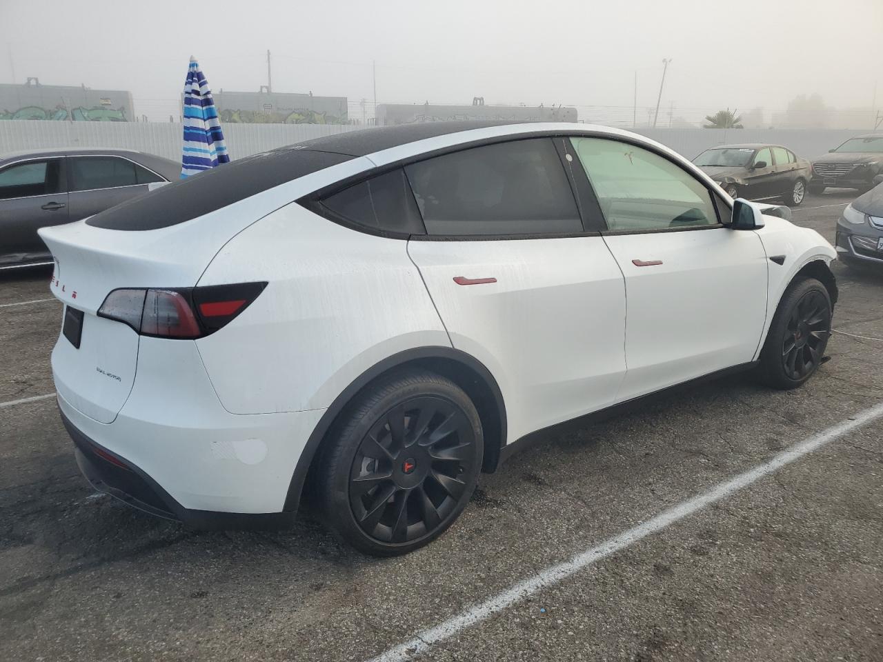 2023 TESLA MODEL Y  VIN:7SAYGDEEXPA130244