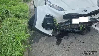 2019 Kia Carnival KNAMB81ABKS502641 VIN:KNAMB81ABKS502641