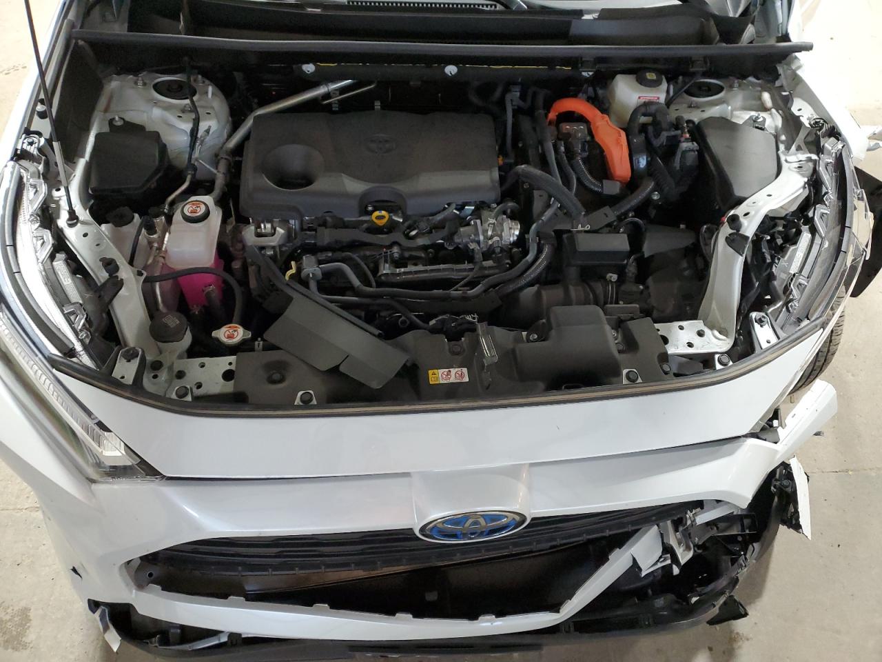 2024 TOYOTA RAV4 XLE PREMIUM VIN:JTMB6RFV8RJ043054