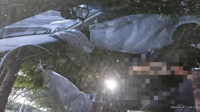 2019 Genesis G80 VIN: