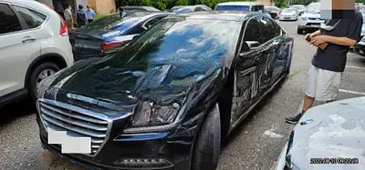 2016 acupuncture nessis 3.3 NONE VIN: