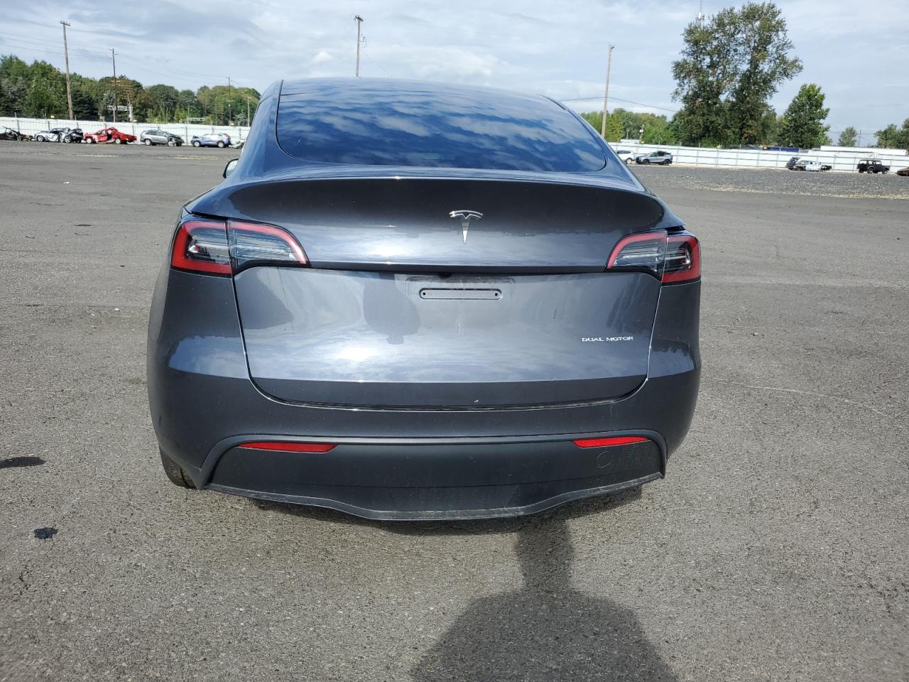 2023 TESLA MODEL Y  VIN:7SAYGDEE0PF921935