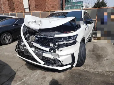 2021 Kia Sorento KNARF81GDMA045087 VIN:KNARF81GDMA045087