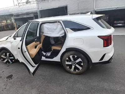 2021 Kia Sorento KNARF81FGMA070589 VIN:KNARF81FGMA070589