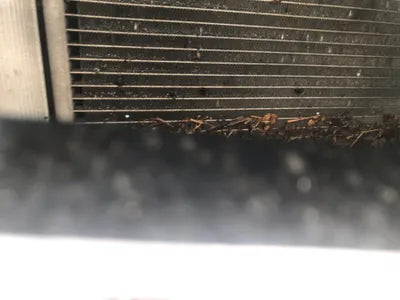 2020 Mercedes-Benz S 560 W1KUG8GB9LA528952 VIN:W1KUG8GB9LA528952