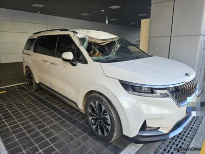 2021 Kia Carnival KNANC81BBMS078551 VIN:KNANC81BBMS078551