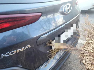 2019 Hyundai Kona VIN: