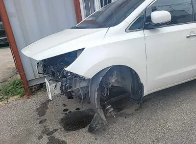 2022 Kia Carnival KNAMC81ABHS307267 VIN:KNAMC81ABHS307267