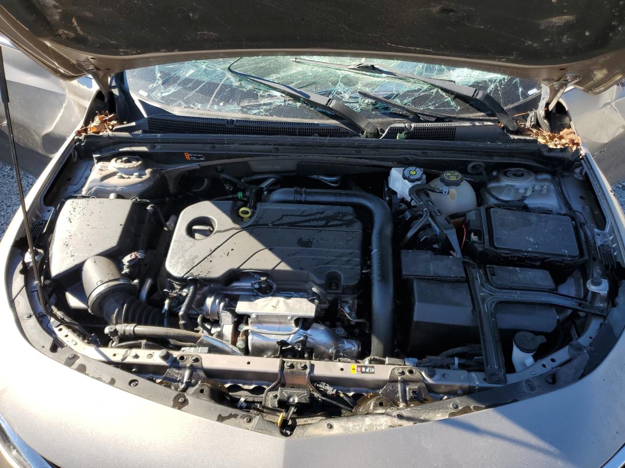 2023 CHEVROLET MALIBU LT VIN:1G1ZD5ST5PF190961