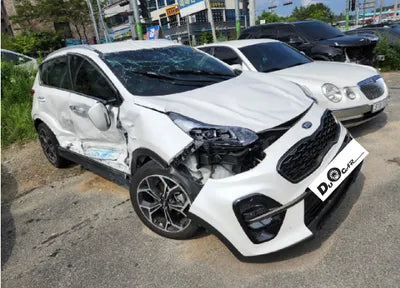 2019 Kia Sportage KNAPP81ABKK713785 VIN:KNAPP81ABKK713785