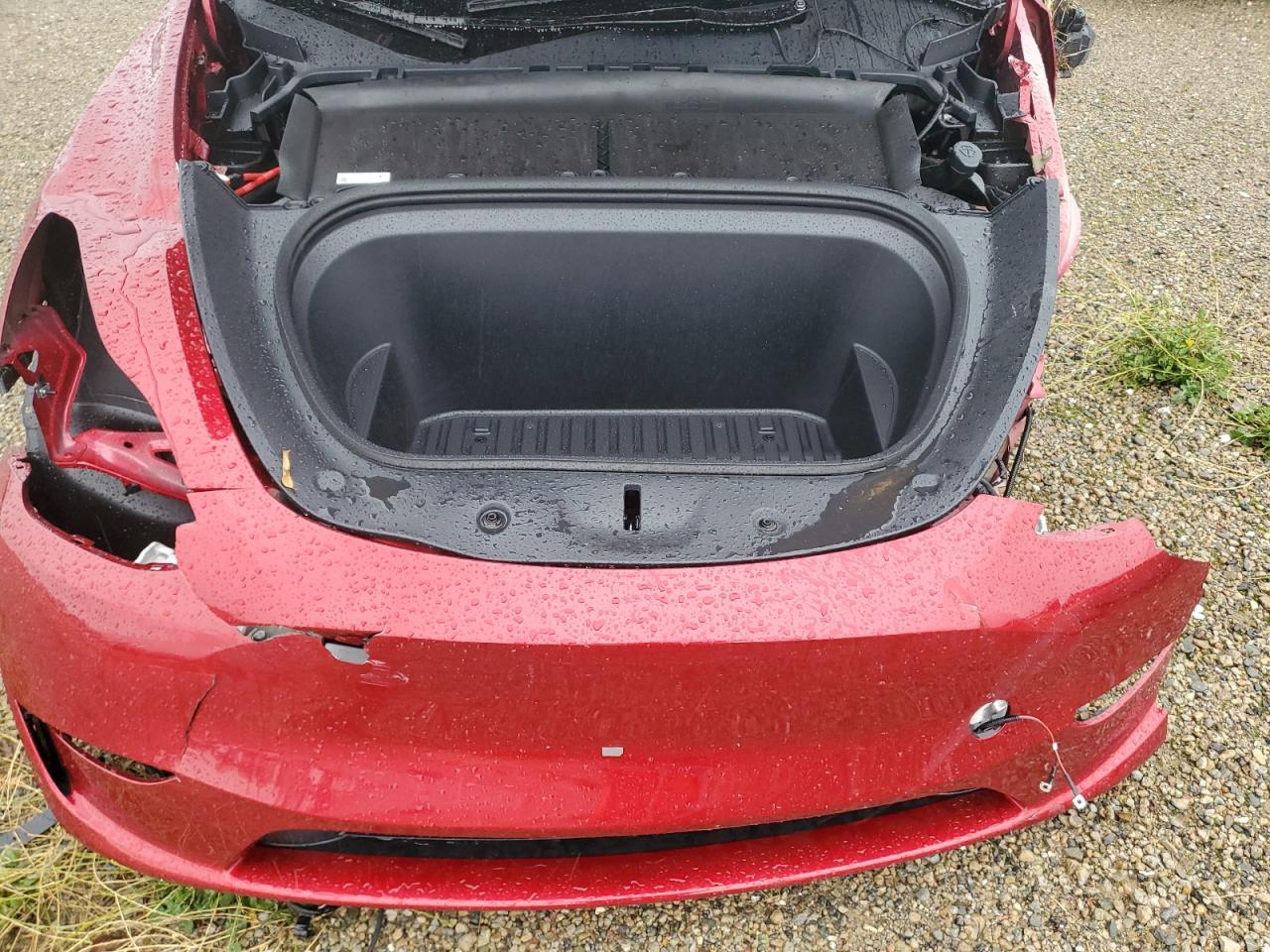 2024 TESLA MODEL Y  VIN:7SAYGDEE8RF183711