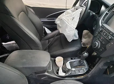 2018 Hyundai Santa FE KMHSW81UBJU793209 VIN:KMHSW81UBJU793209