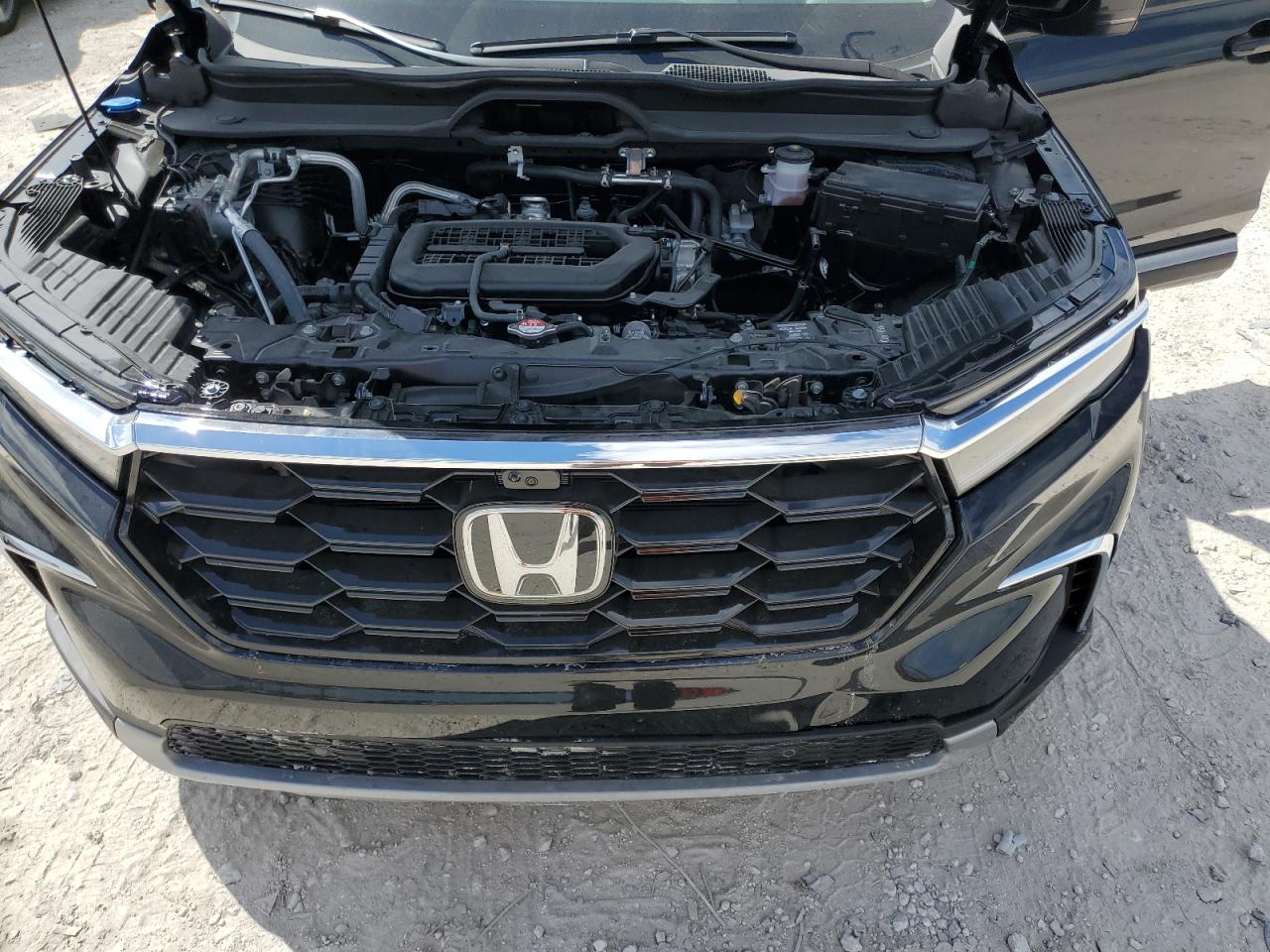 2024 HONDA PILOT ELITE VIN:5FNYG1H80RB007818