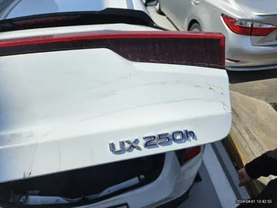 2020 Lexus UX 250 VIN: