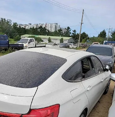 2017 BMW 320 261KMWBA8T3102HG5 VIN:261KMWBA8T3102HG5