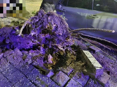 2018 Lexus ES 300 VIN: