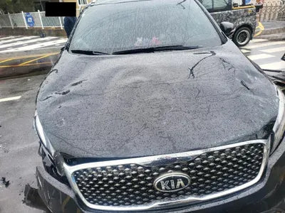 2017 Kia Sorento KNAPS81ABHA319110 VIN:KNAPS81ABHA319110