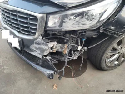 2019 Kia Carnival KNAMC81ABKS461478 VIN:KNAMC81ABKS461478