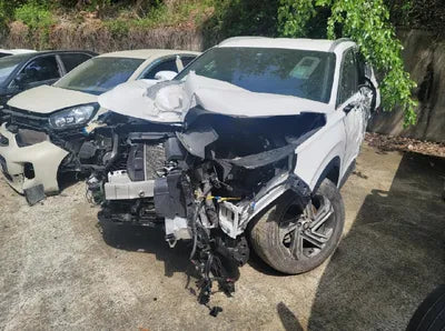 2021 Hyundai Santa FE KMHS381HGMU328111 VIN:KMHS381HGMU328111