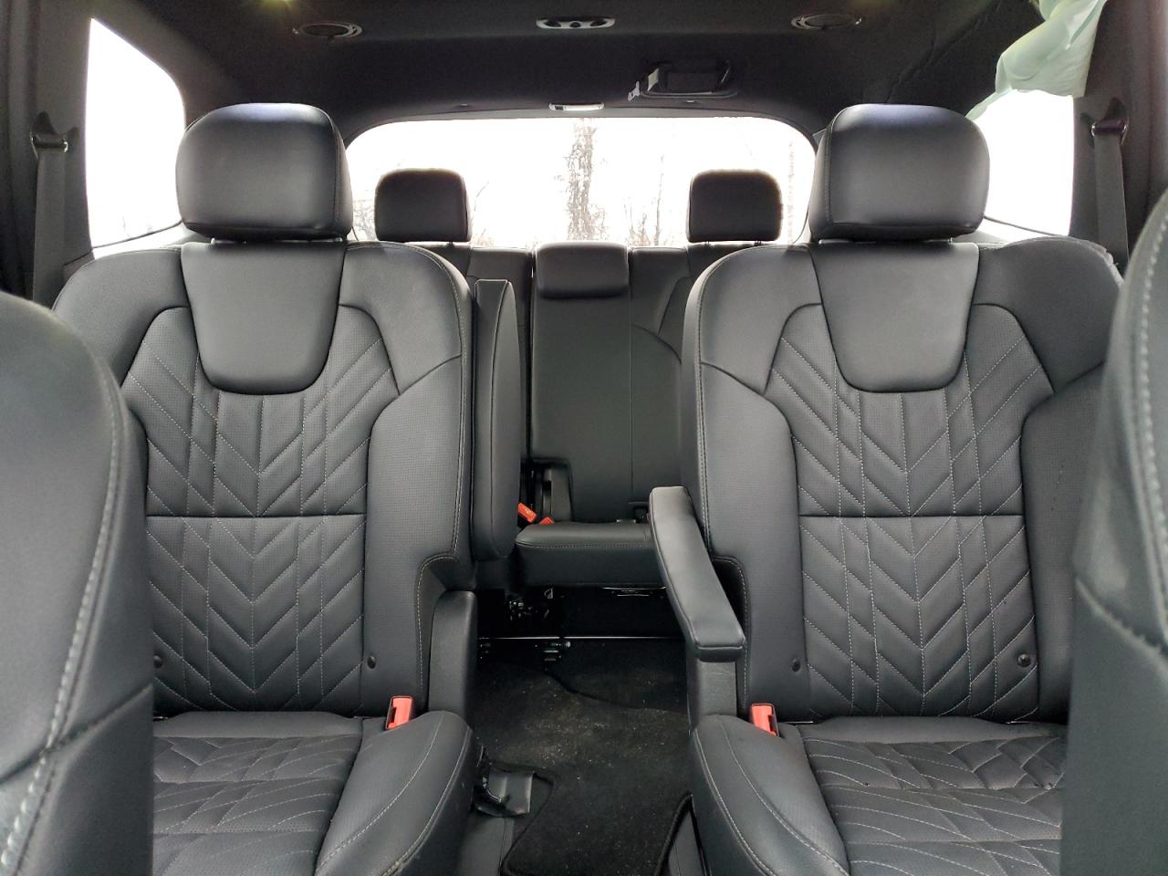 2024 KIA TELLURIDE SX VIN:5XYP5DGC6RG514451