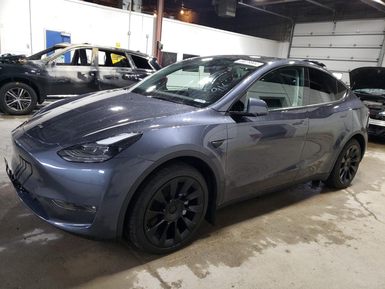 2023 TESLA MODEL Y  VIN:7SAYGDEE6PF698980