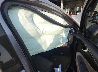 2020 Hyundai Santa FE KMHS381CDLU246684 VIN:KMHS381CDLU246684