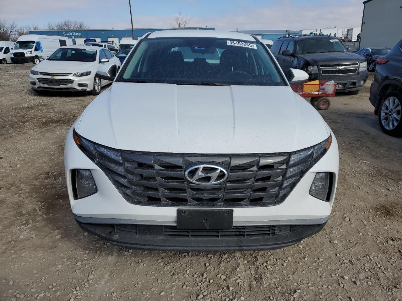 2024 HYUNDAI TUCSON SE VIN:5NMJA3DEXRH354937