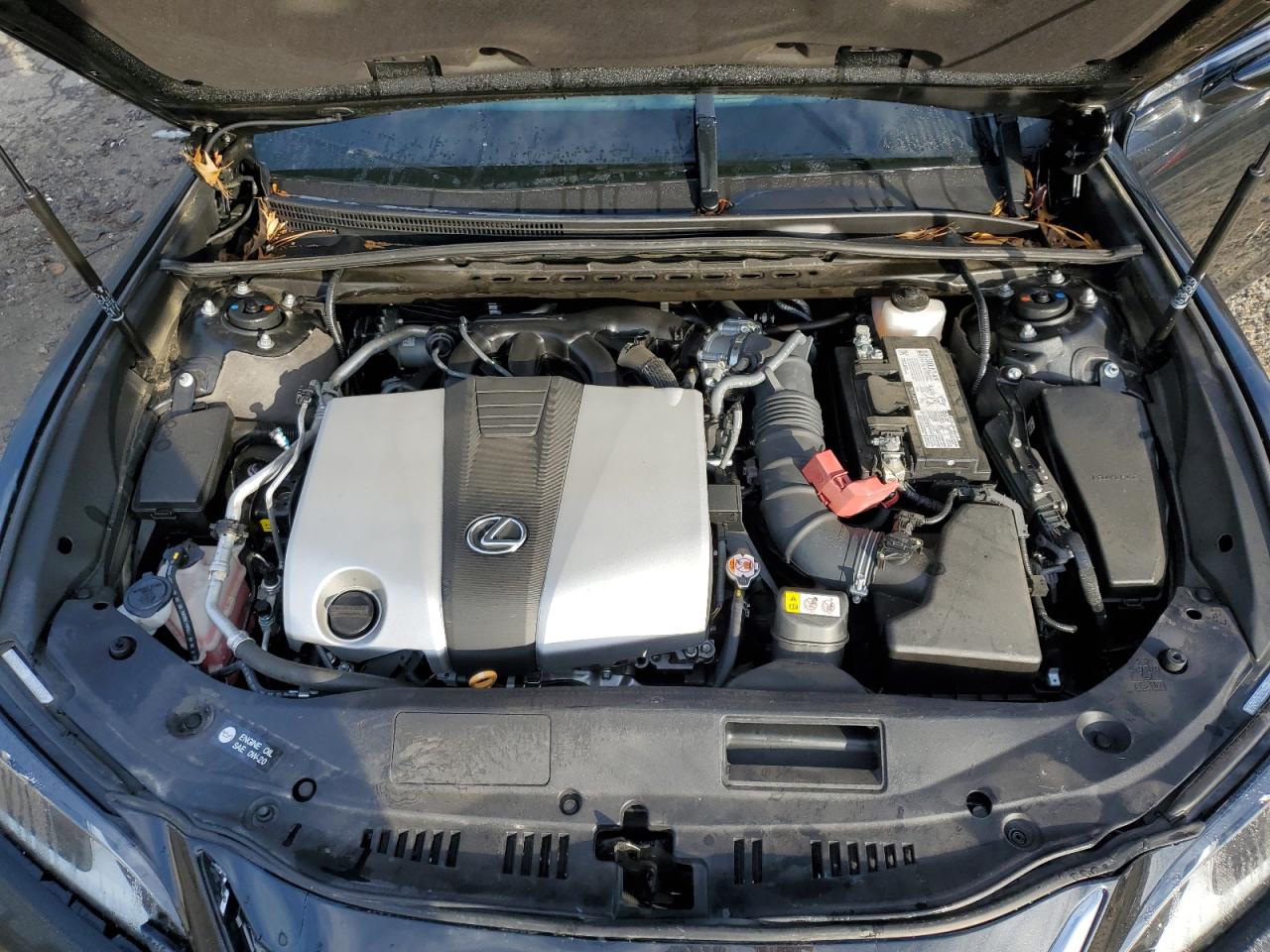 2023 LEXUS ES 350 BASE VIN:58ADZ1B13PU146709