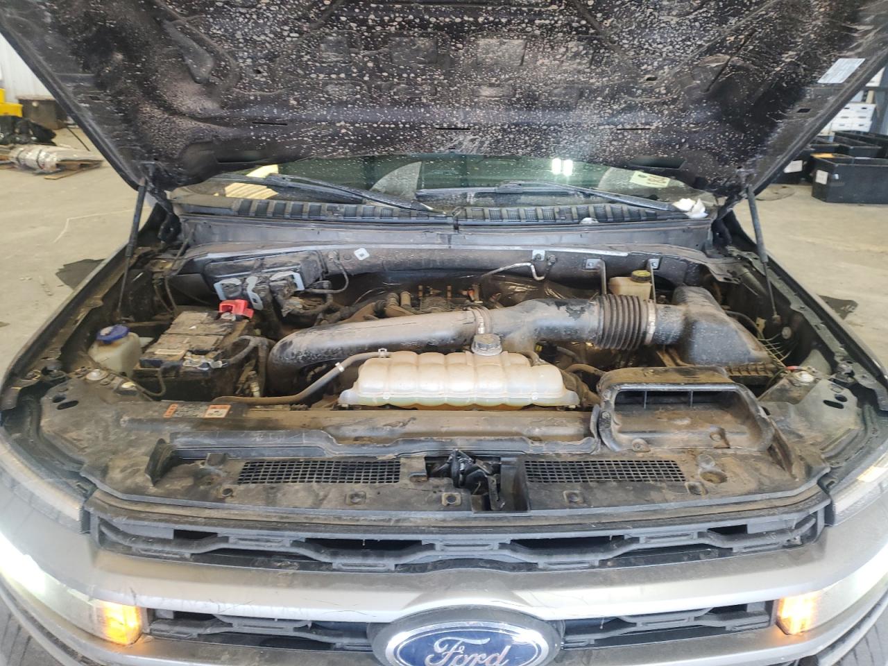 2024 FORD EXPEDITION XLT VIN:1FMJU1J83REA23805
