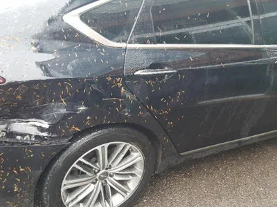 2020 Genesis G80 VIN: