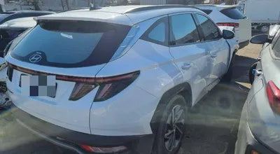 2021 Hyundai Tucson KMHJE811BMU009800 VIN:KMHJE811BMU009800