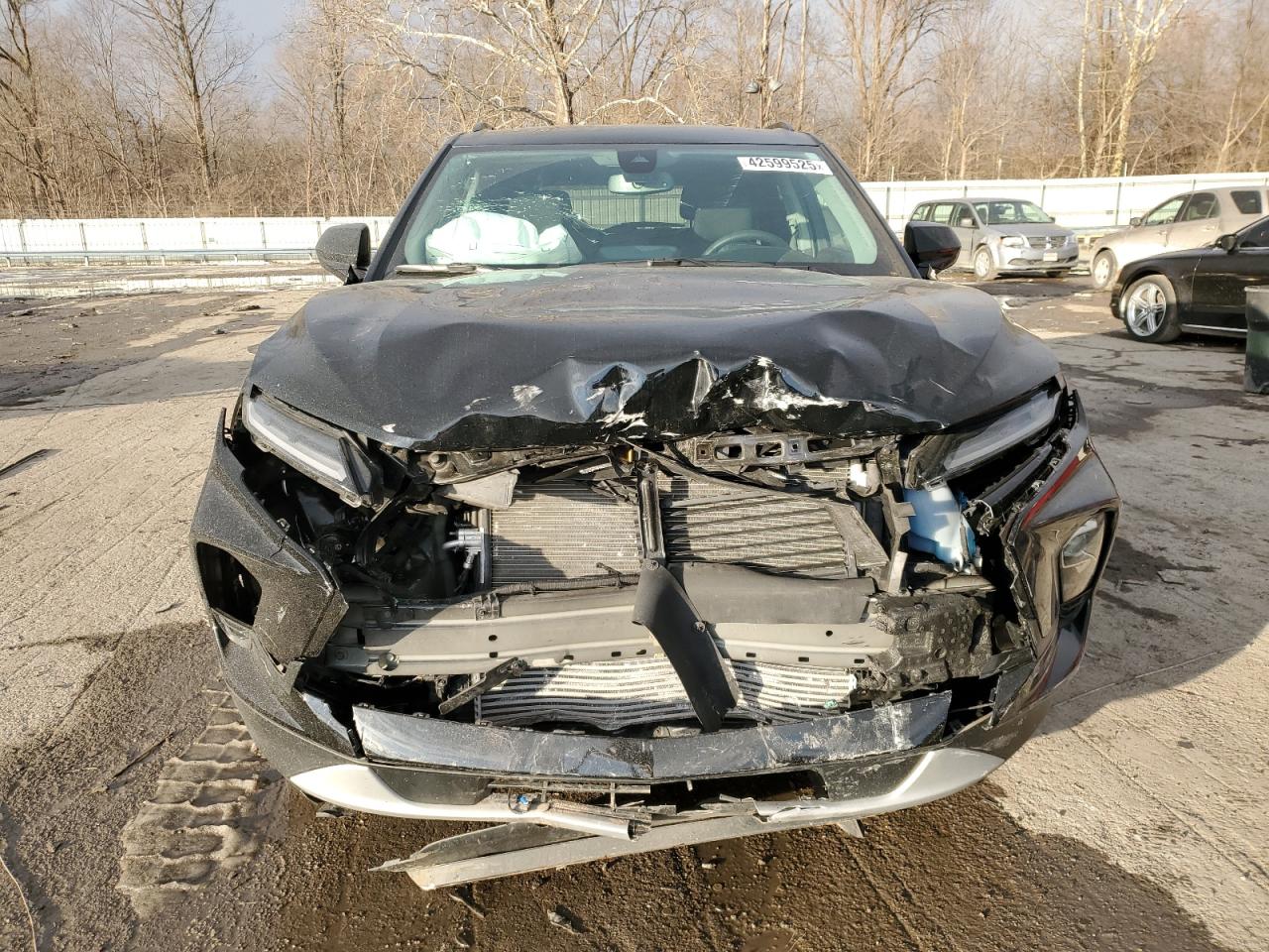 2024 CHEVROLET BLAZER 2LT VIN:3GNKBCR4XRS216350