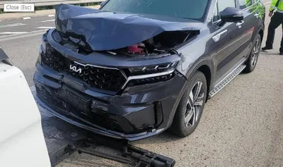 2022 Kia Sorento KNARG81GDNA105395 VIN:KNARG81GDNA105395