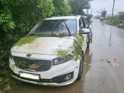 2016 Kia Carnival 334KMKNAMB81ABGS2 VIN:334KMKNAMB81ABGS2
