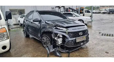 2021 Hyundai Kona KMHK5813GMU707119 VIN:KMHK5813GMU707119