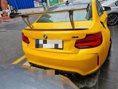 2018 BMW M2 WBS1J5100JVE54391 VIN:WBS1J5100JVE54391