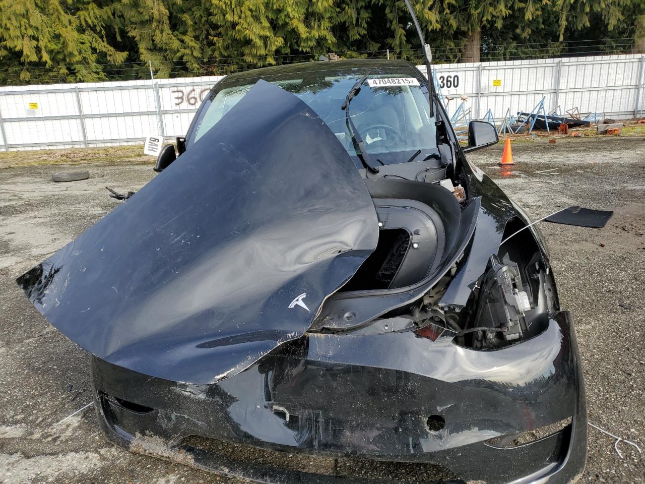 2024 TESLA MODEL Y  VIN:7SAYGDEEXRF119119