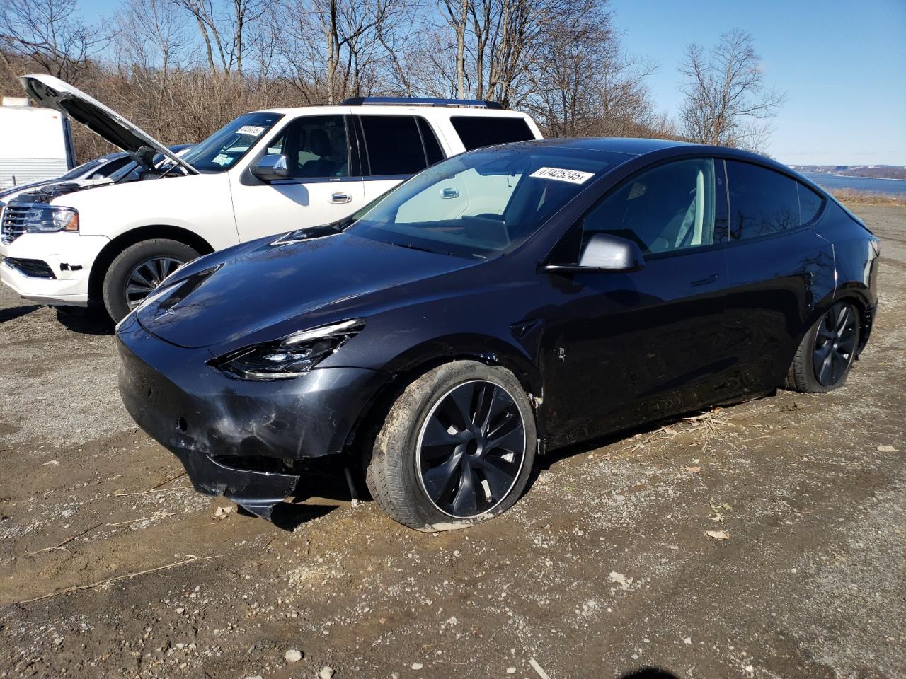 2024 TESLA MODEL Y  VIN:7SAYGDED3RF114643