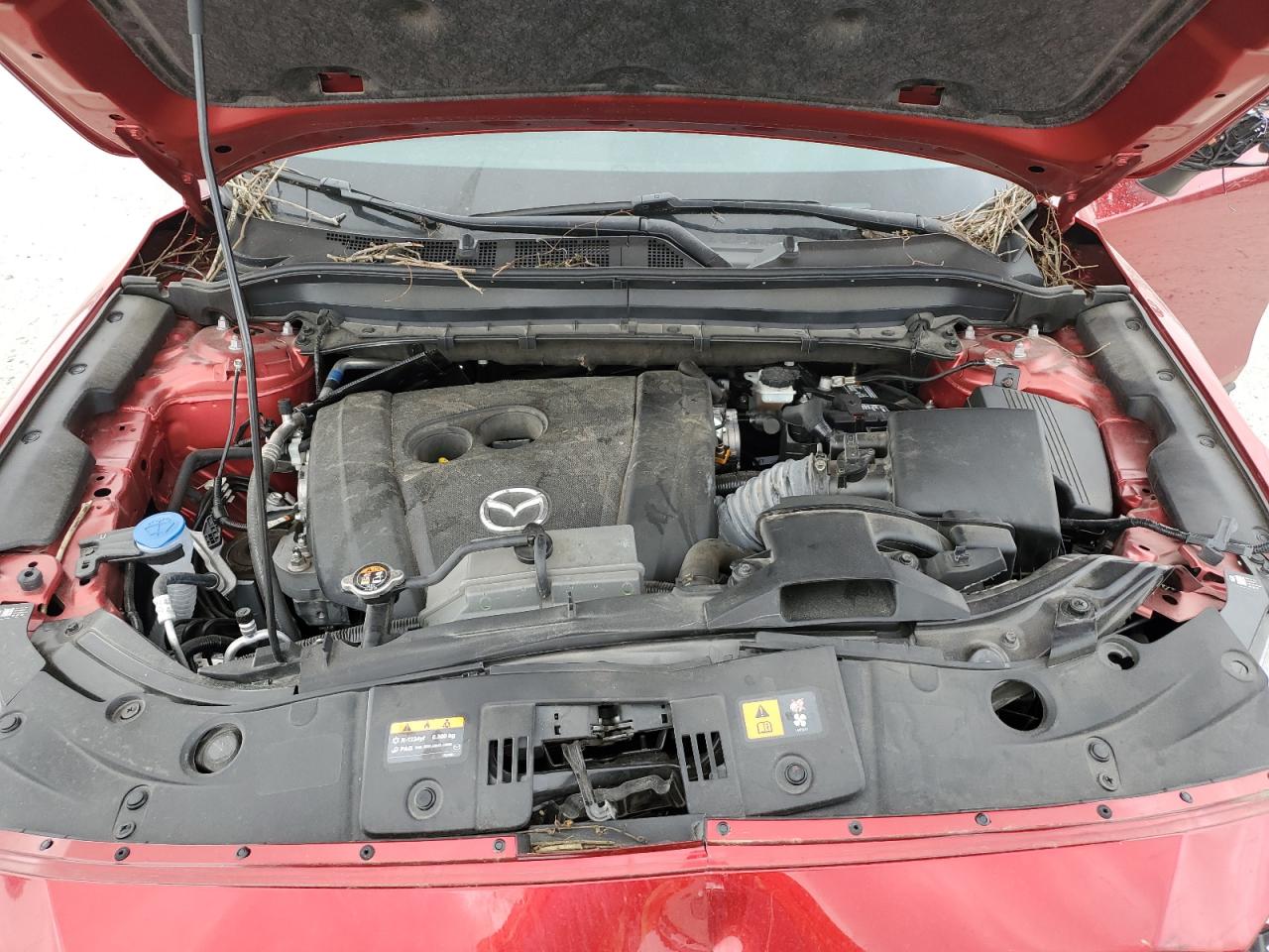 2023 MAZDA CX-5 SELECT VIN:JM3KFBBM0P0286324