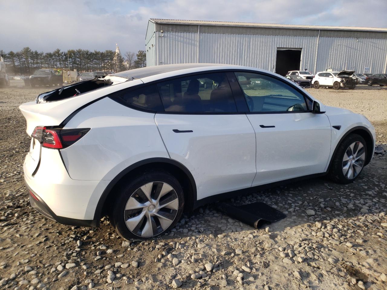 2023 TESLA MODEL Y  VIN:7SAYGAEE7PF749059