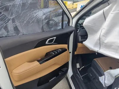 2020 Kia Carnival KNANC81BBMS015175 VIN:KNANC81BBMS015175