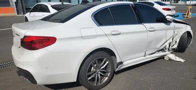 2019 BMW 520 WBAJF5106LWW56233 VIN:WBAJF5106LWW56233