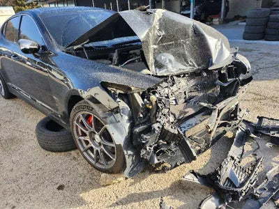 2020 Kia Stinger KNAE751CDLS072061 VIN:KNAE751CDLS072061