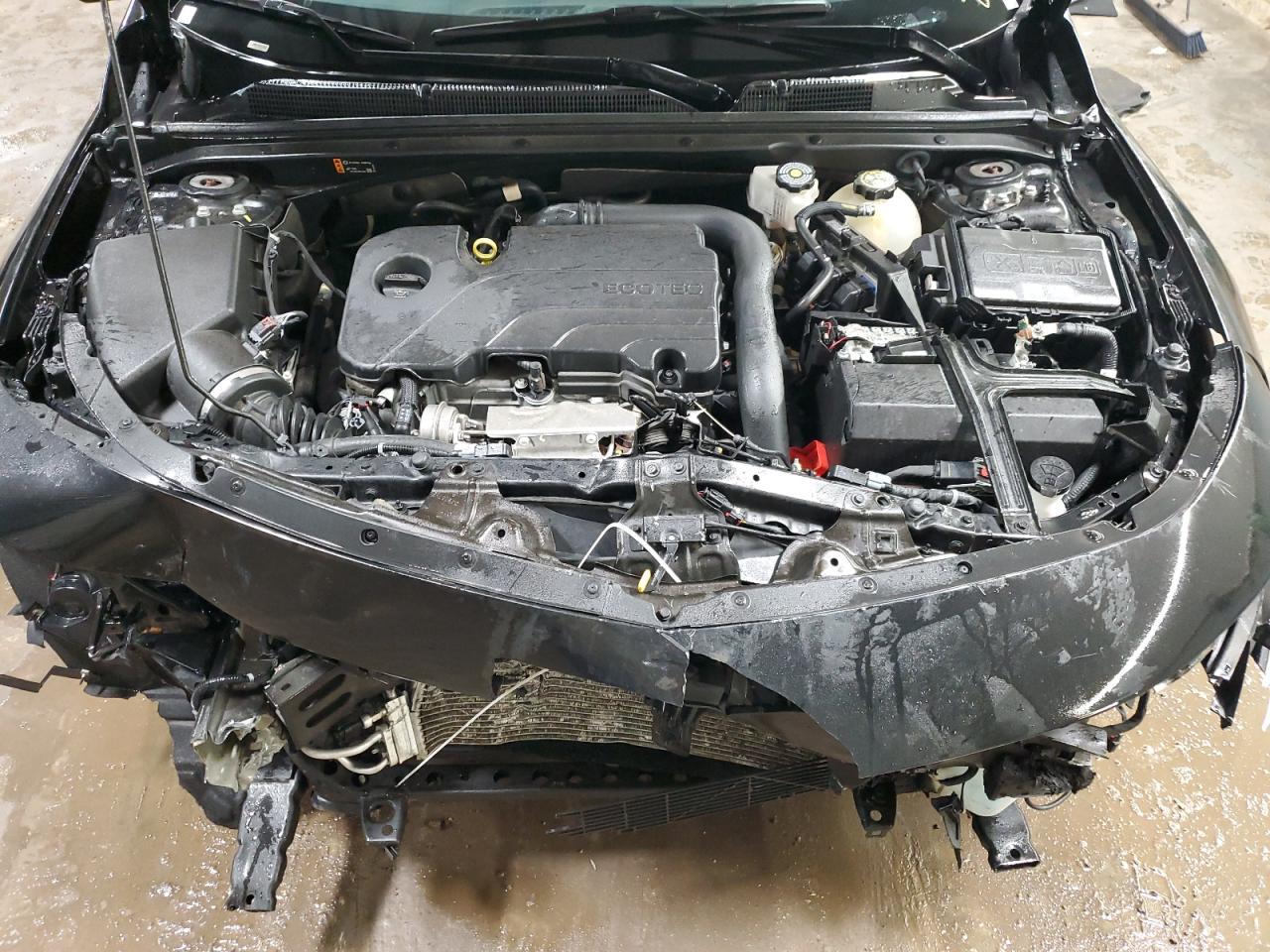 2023 CHEVROLET MALIBU LT VIN:1G1ZD5ST3PF131939