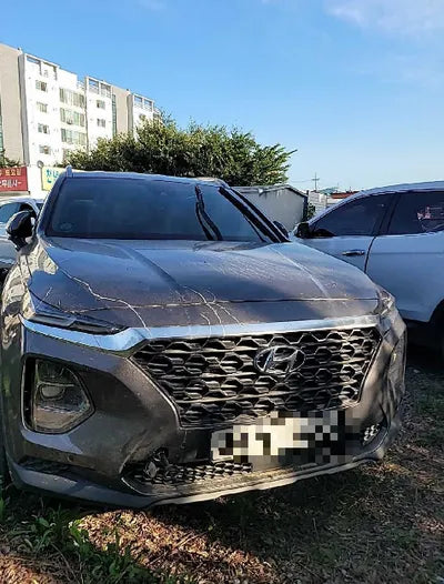 2020 Hyundai Santa FE KMHS381BBLU248387 VIN:KMHS381BBLU248387