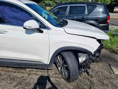 2019 Hyundai Santa FE KMHS281CDKU096955 VIN:KMHS281CDKU096955