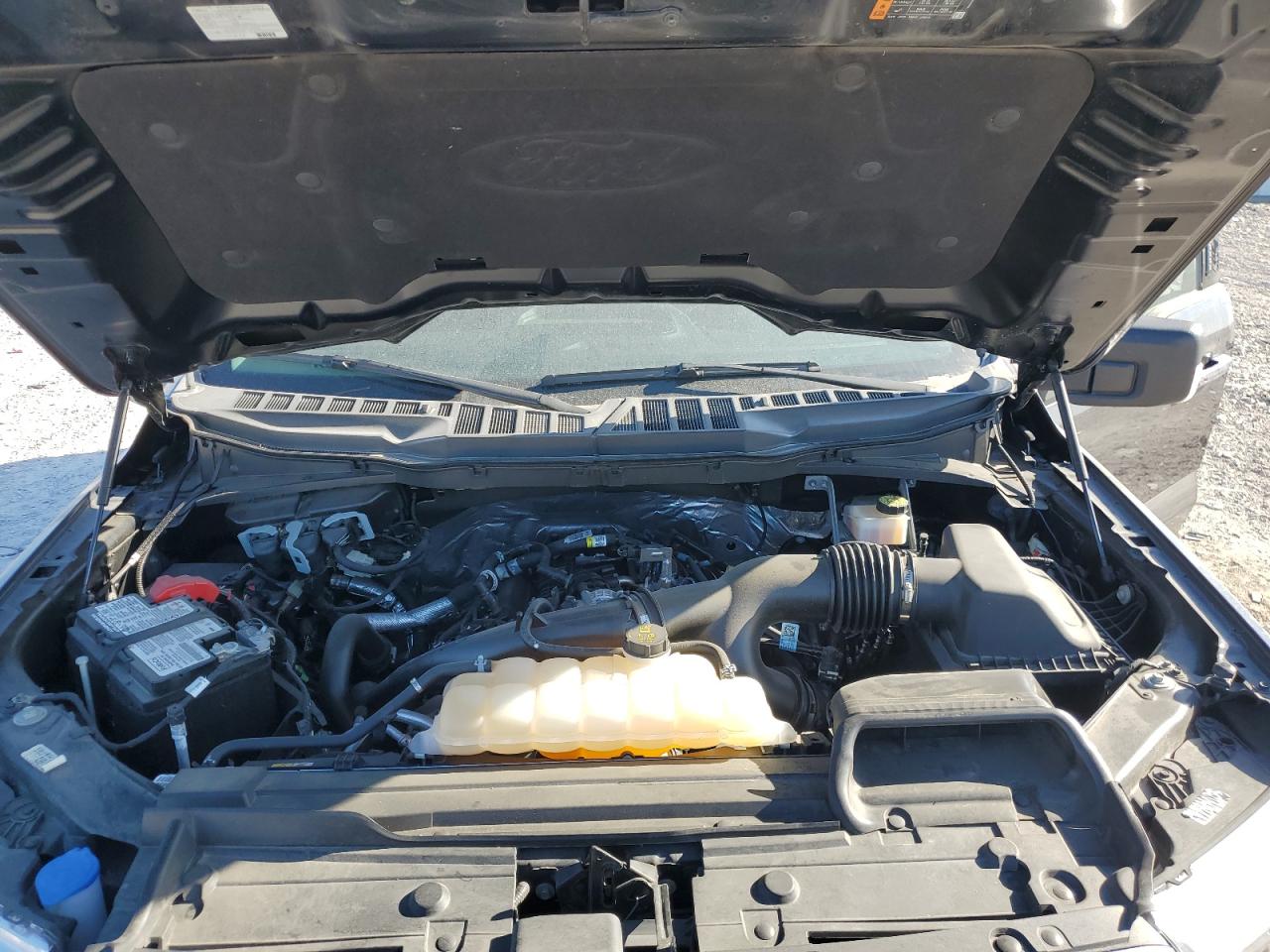 2023 FORD F150 SUPERCREW VIN:1FTEW1EP6PFB08100